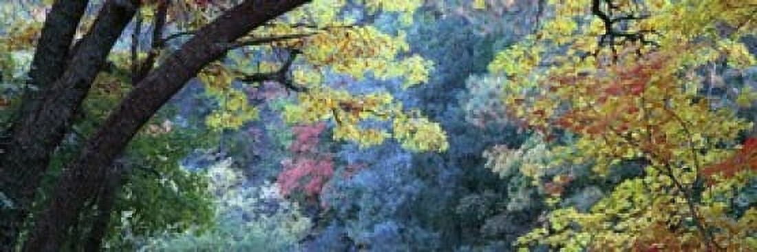 Fall colors at Fourth of July Canyon New Mexico USA Canvas Art - Panoramic Images (18 x 6)
