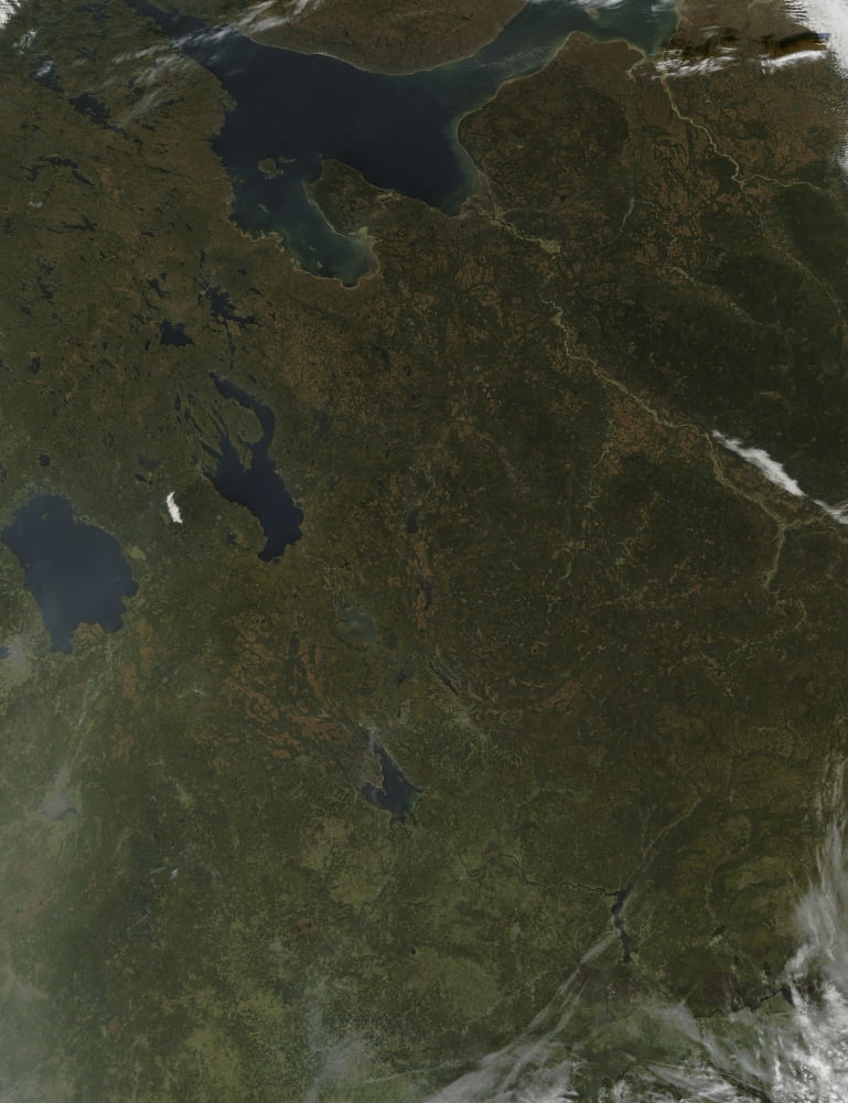 Fall colors in northwestern Russia Canvas Art - Stocktrek Images (25 x 32)