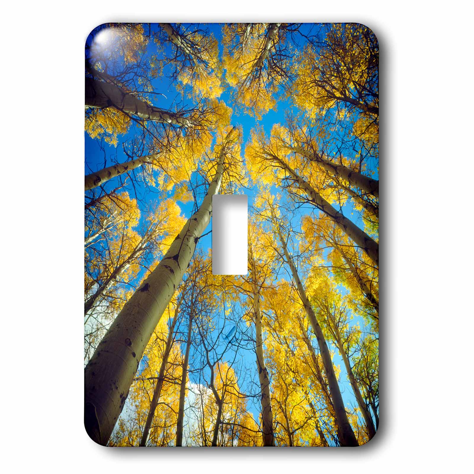 3dRose, Fall colors of Aspen trees., single toggle switch - Walmart ...