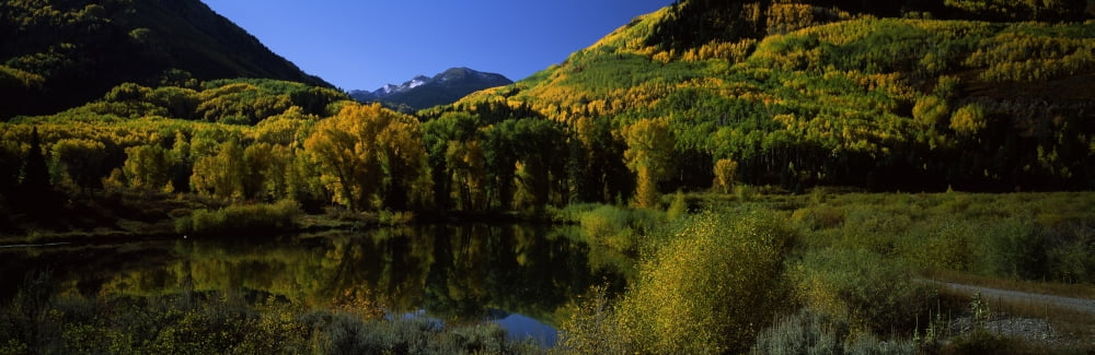 Fall colors reflected in water with mountains in the background Colorado USA Canvas Art - Panoramic Images (12 x 36)