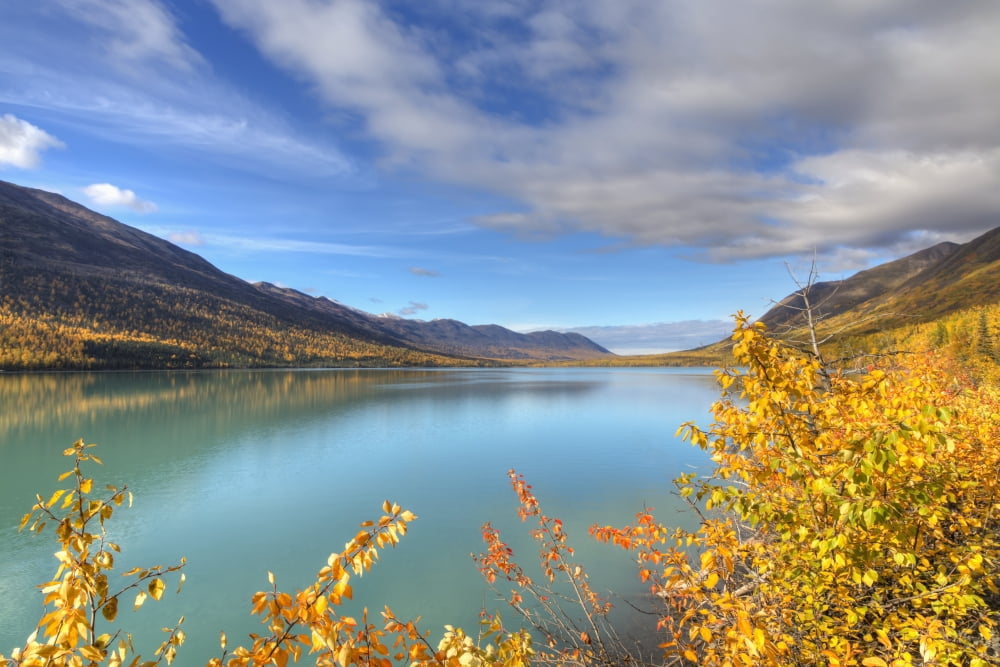Fall foliage along Eklutna Lake in Chugach State Park Southcentral Alaska Autumn HDR Canvas Art - Lucas Payne Design Pics (19 x 12)
