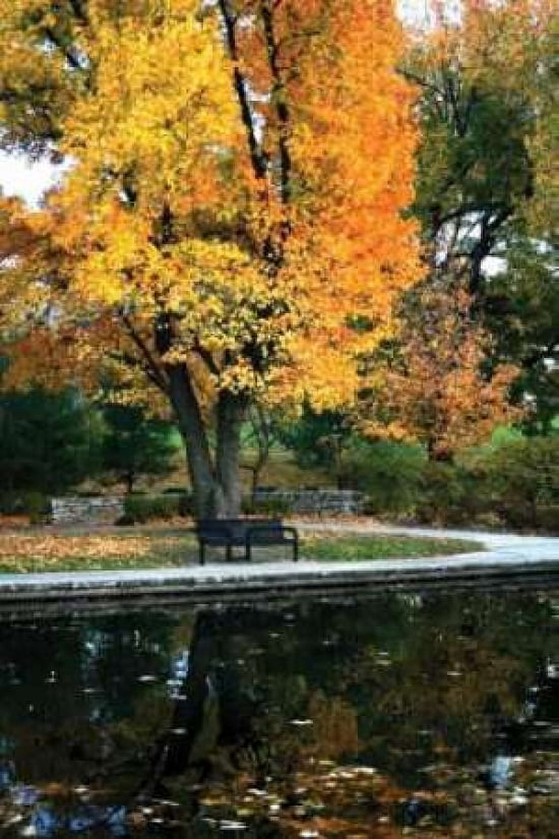 Fall in the Park Canvas Art - Tammy Putman (24 x 36)