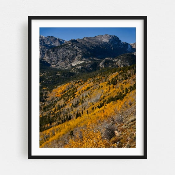 Fall in the Rockies - Colorado Photography Mountain Autumn Landscape Nature Scenic Wilderness Forest Black Framed Wall Art Print 11 x 14 inches