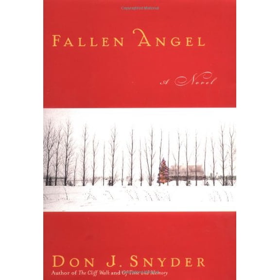 Pre-Owned Fallen Angel: A Novel (Hardcover) 0743422317 9780743422314