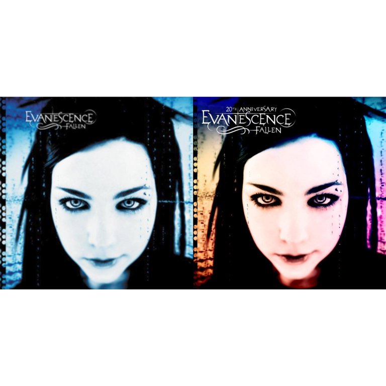 Fallen & Fallen (20Th Anniversary) (Deluxe Edition/2LP) - Walmart.com