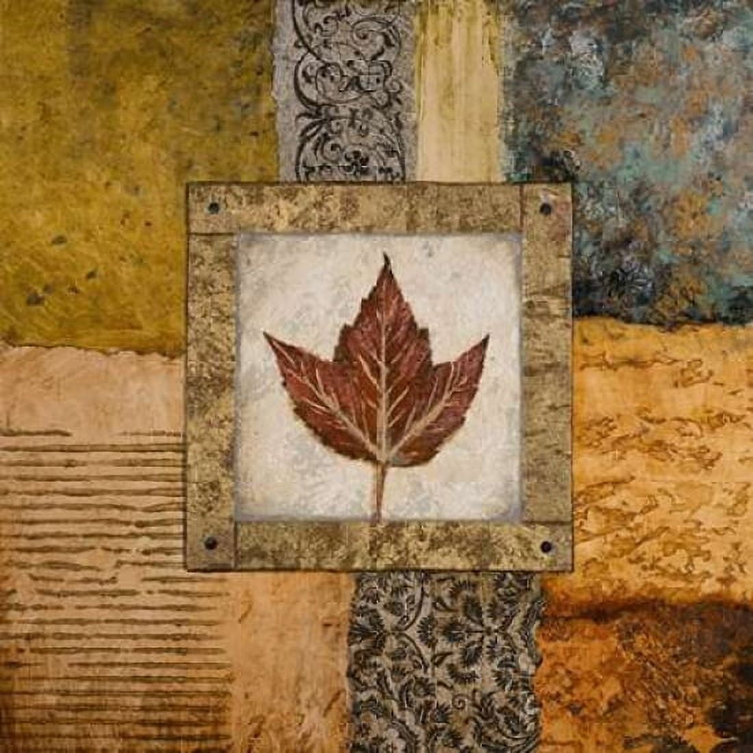 Fallen Leaf I Canvas Art - Michael Marcon (24 x 24)