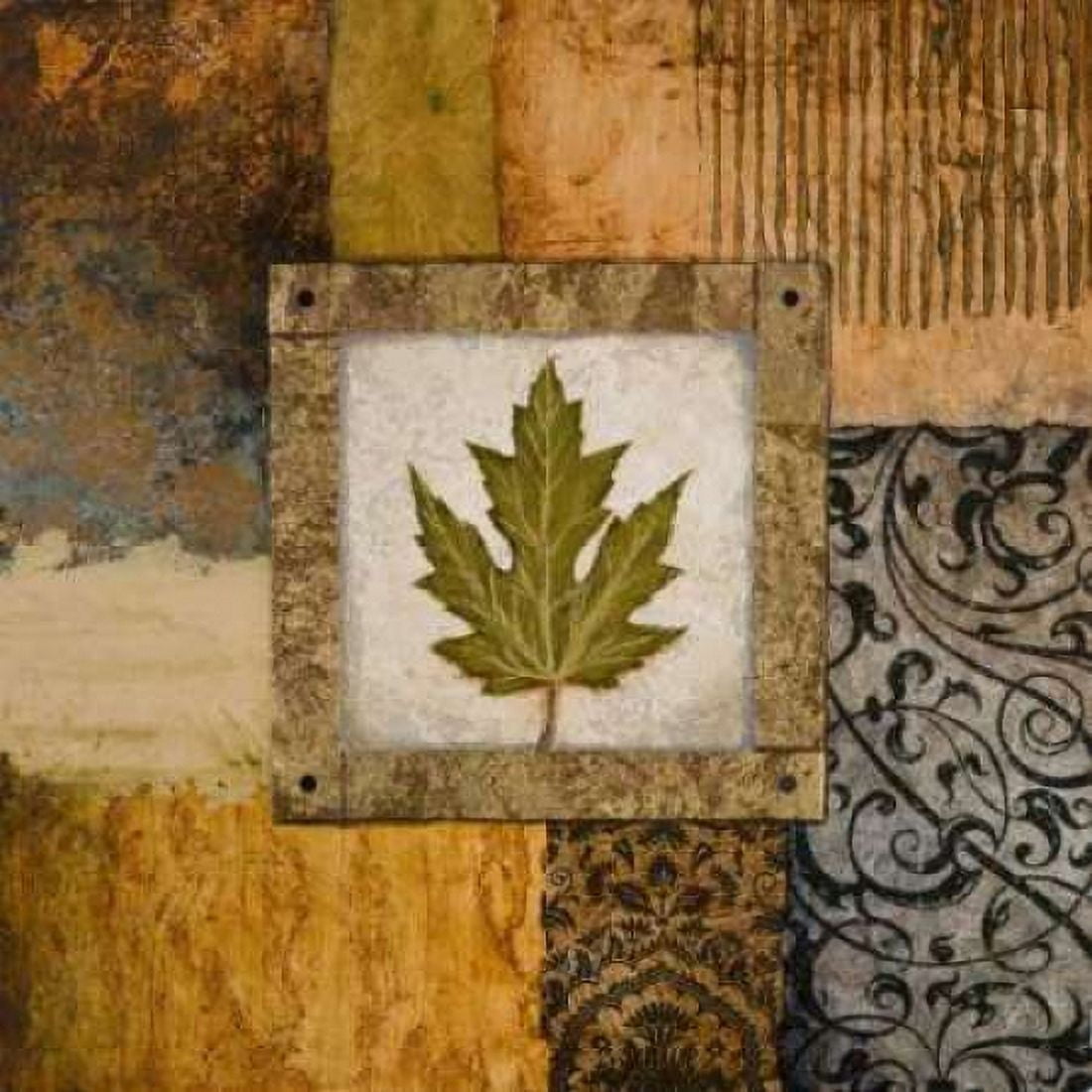 Fallen Leaf II - green Canvas Art - Michael Marcon (24 x 24)