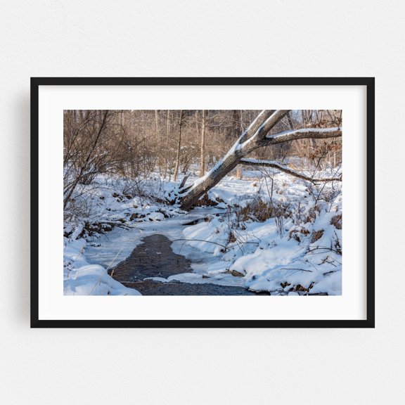 A Fallen Tree along the Codorus Creek, York PA - York Pennsylvania Photography Snow Winter Nature Scenic Woodland Forest Landscape Black Framed Wall Art Print 5 x 7 inches