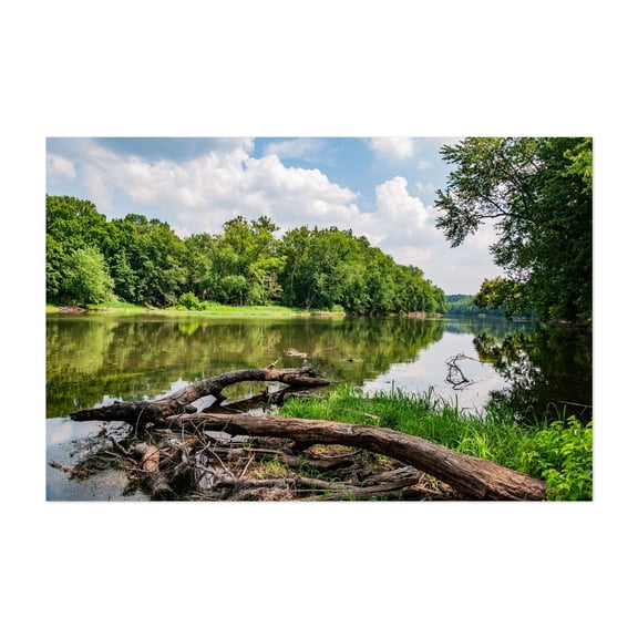 Fallen Trees in the Potomac River on a Summer Day - Leesburg Virginia Photography Lake Nature Scenic Landscape Water Woodland Wilderness Unframed Wall Art Print 4 x 6 inches