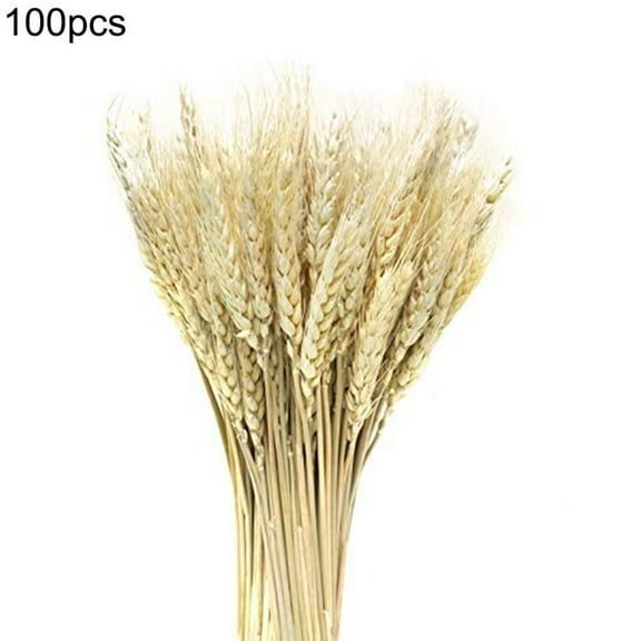 Falleo Clearance 100PCS Artificial Wheat Dried Flowers Realistic Dried Wheat Sheaves for Christmas Evening Party Wedding