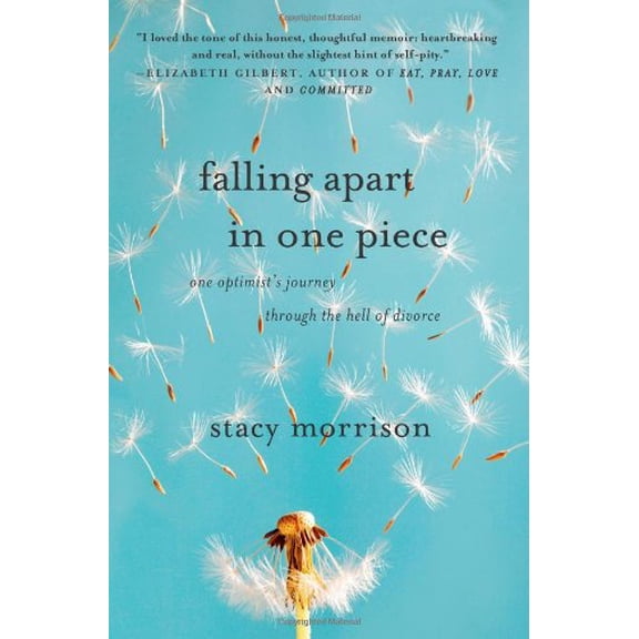 Pre-Owned Falling Apart in One Piece: One Optimist's Journey Through the Hell of Divorce (Hardcover) 1416595562 9781416595564