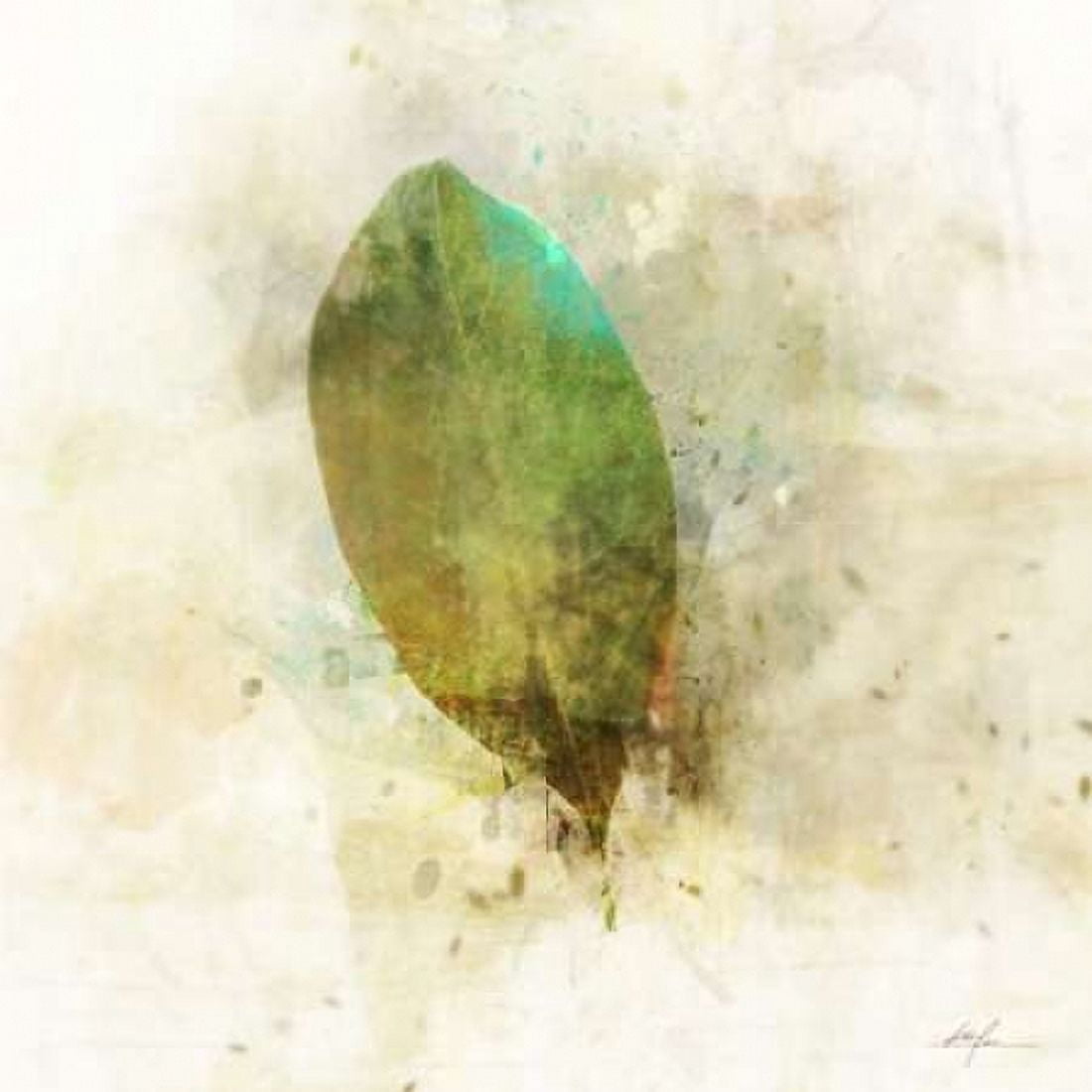 Falling Birch Leaf Canvas Art - Ken Roko (24 x 24)