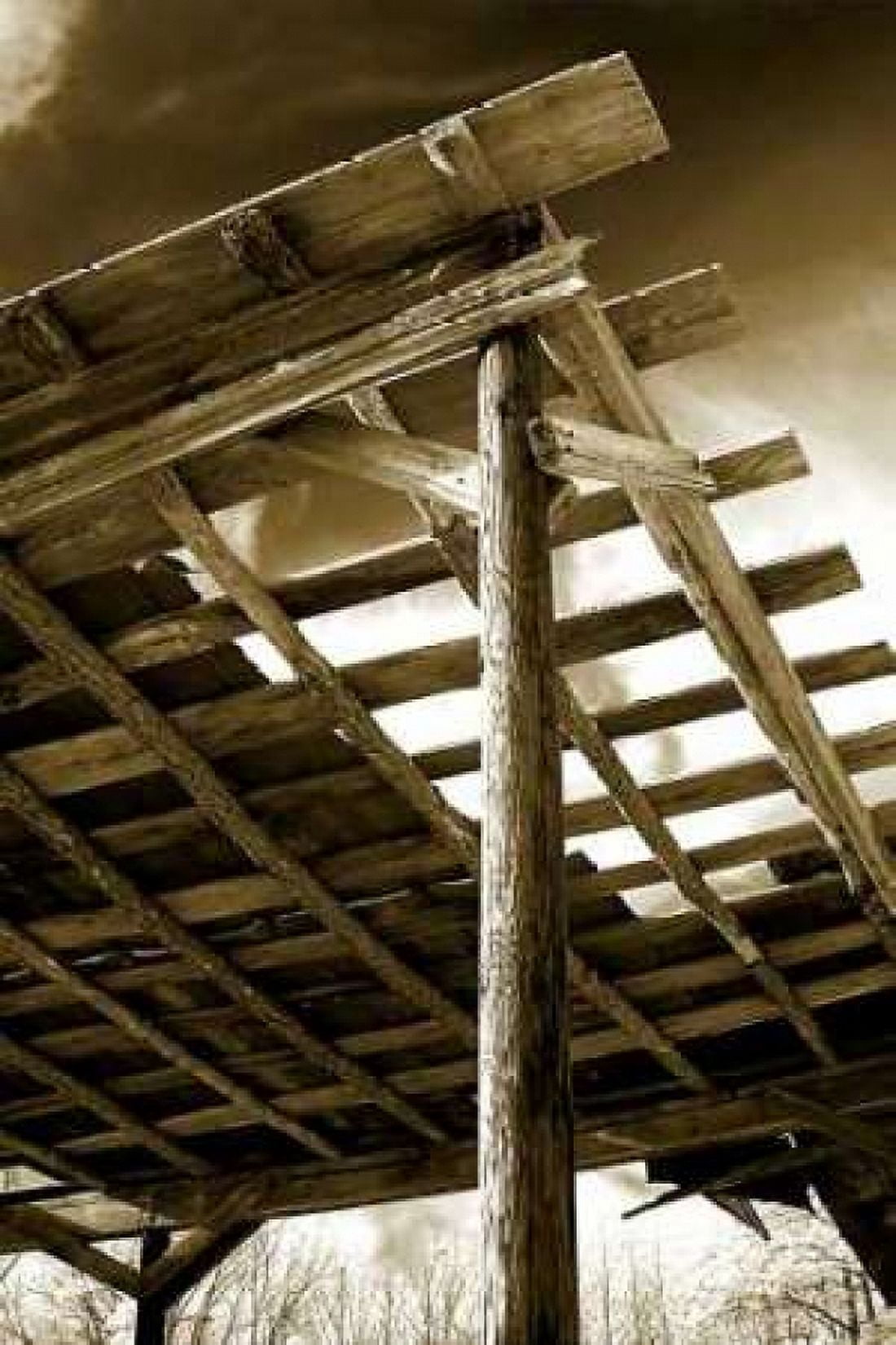 Falling Down I Canvas Art - Alan Hausenflock (24 x 36)