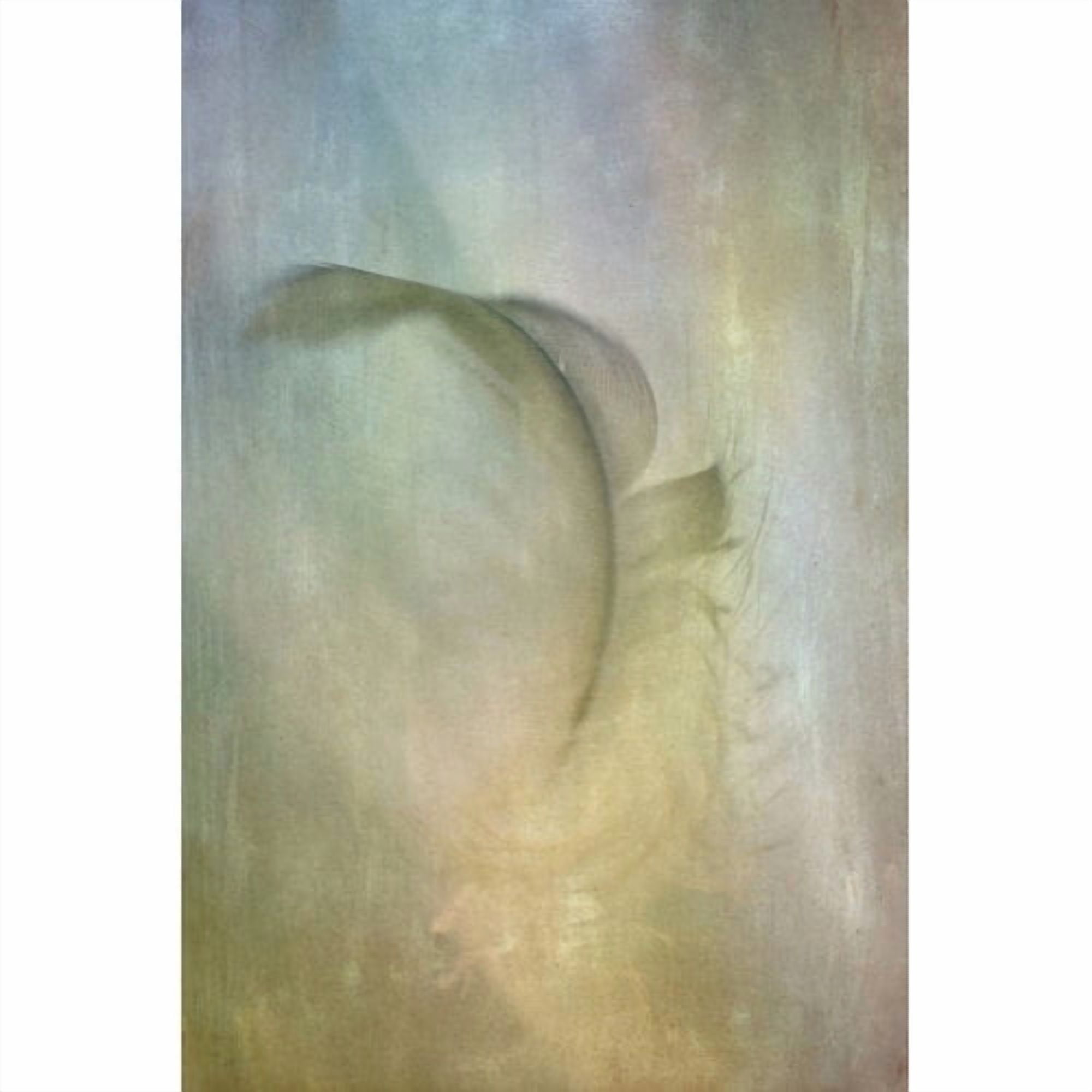 "Falling Feather" Painting Print on Wrapped Canvas