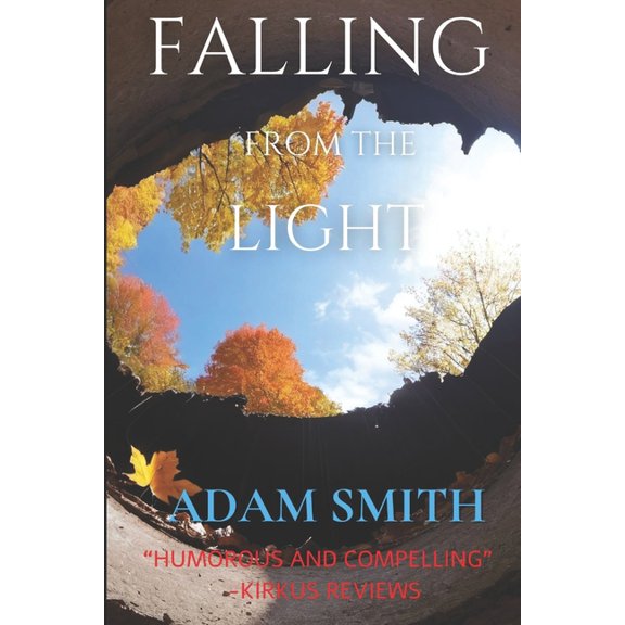 Falling From The Light (Paperback)