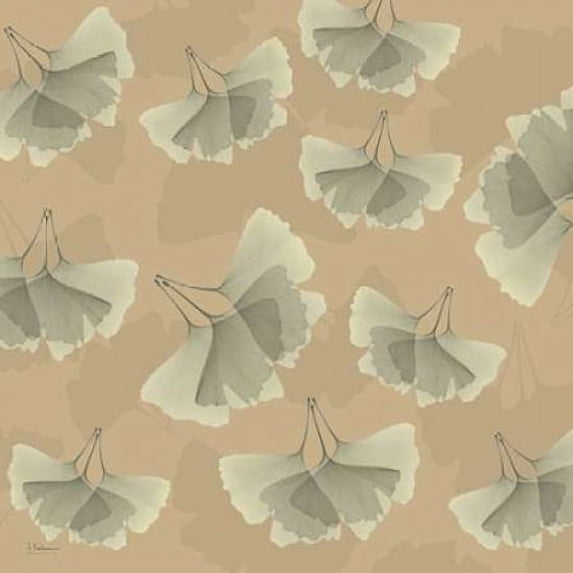 Falling Gingkos 1 Poster Print by Albert Koetsier (12 x 12)