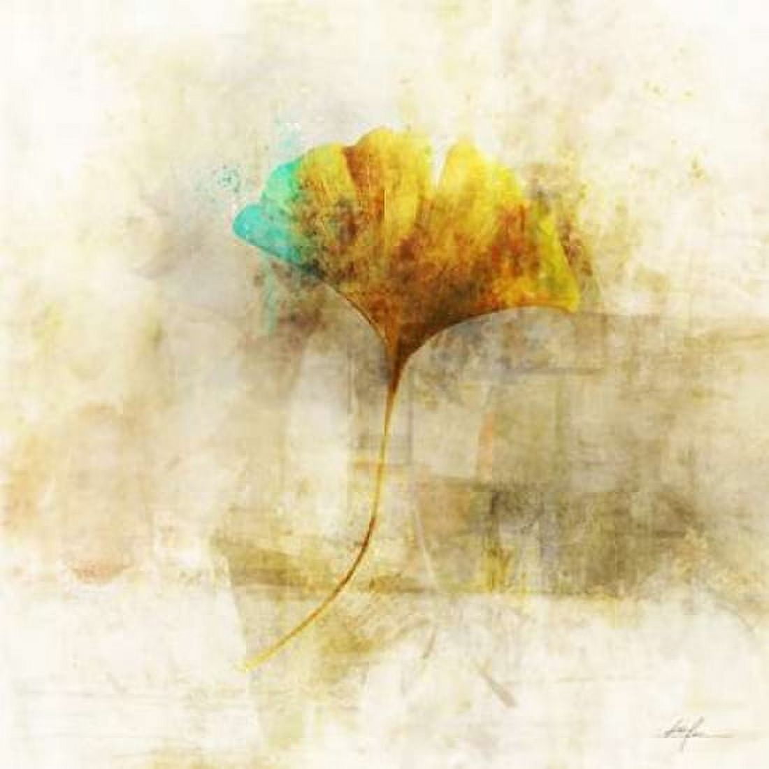 Falling Ginko Leaf Canvas Art - Ken Roko (24 x 24)
