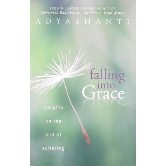 Pre-Owned Falling into Grace: Insights on the End of Suffering (Hardcover) 1604070870 9781604070873