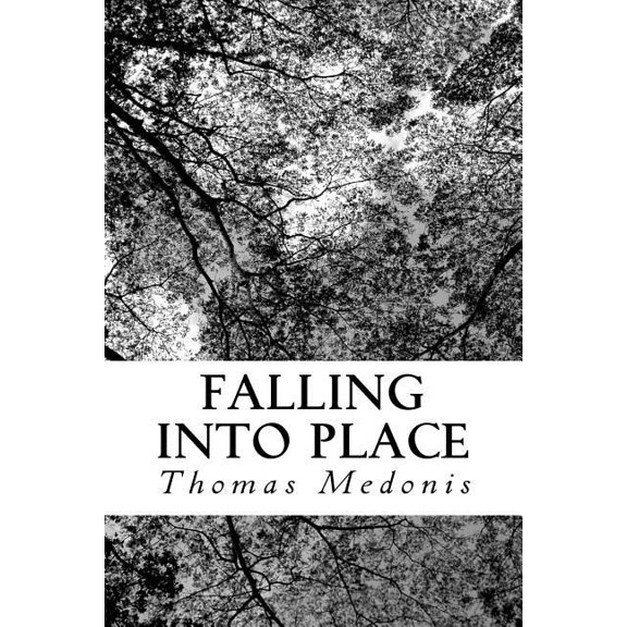 Falling Into Place (Paperback)