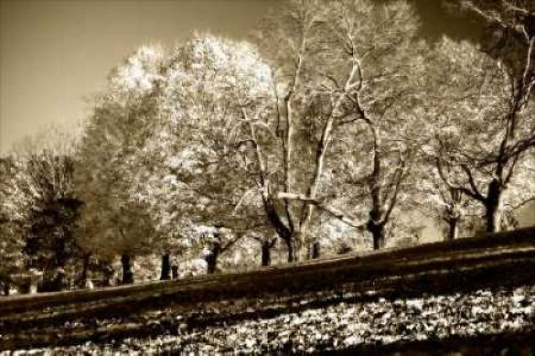 Falling Leaves Canvas Art - Alan Hausenflock (24 x 36)