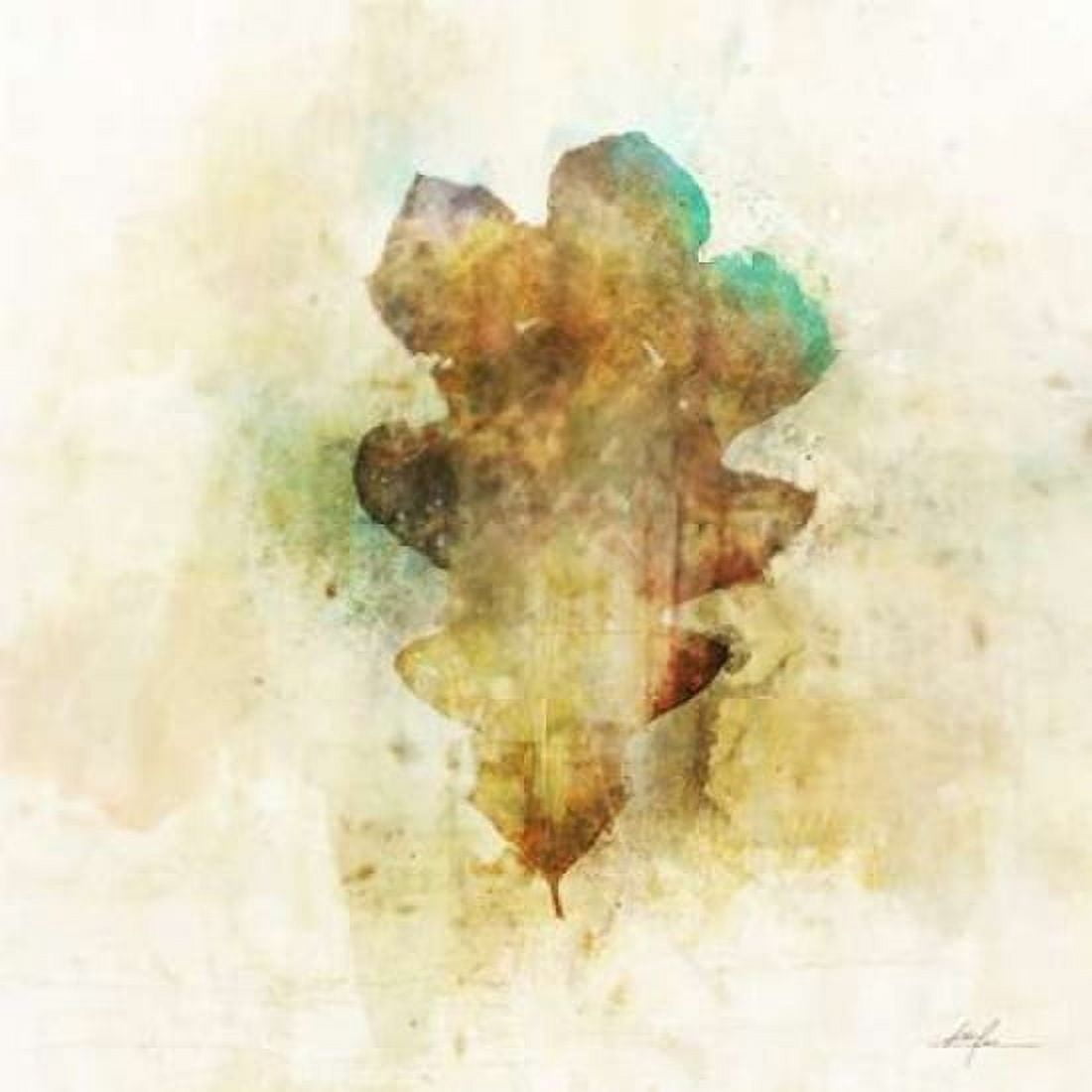 Falling Oak Leaf Canvas Art - Ken Roko (24 x 24)