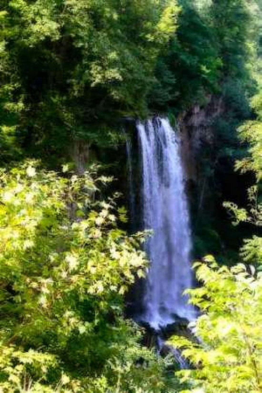 Falling Springs II Canvas Art - Alan Hausenflock (20 x 28)