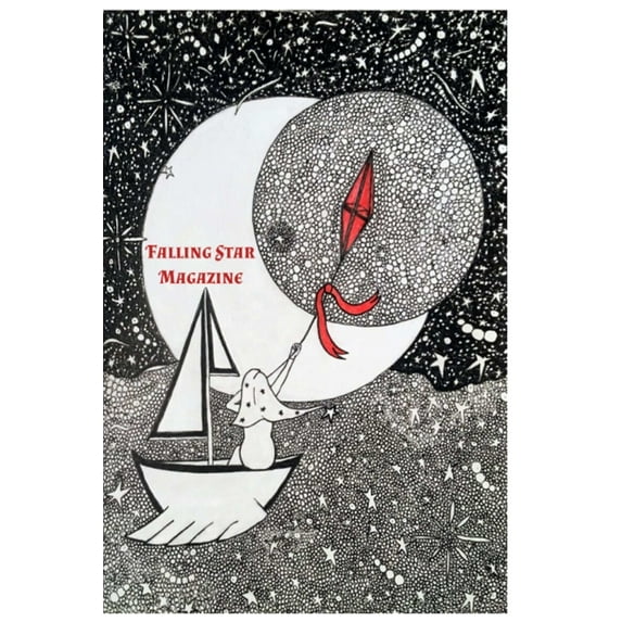 Falling Star 2018, (Paperback)
