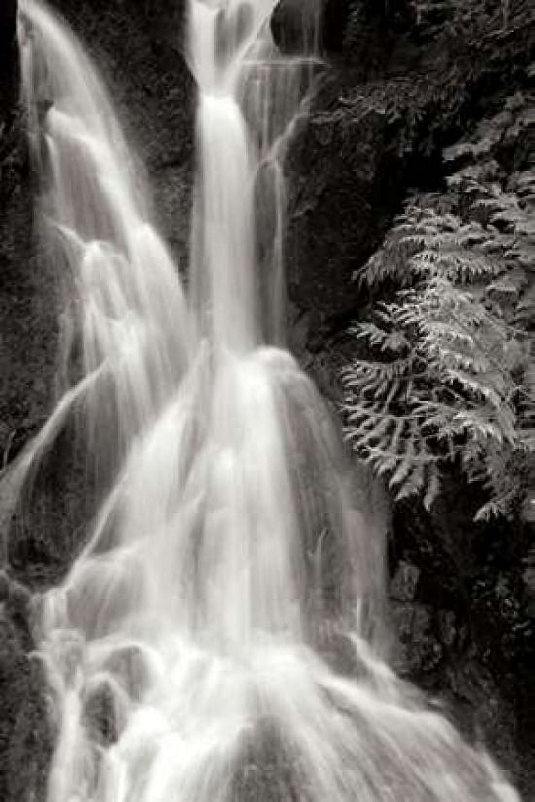 Falling Water I BW Canvas Art - Douglas Taylor (12 x 18)