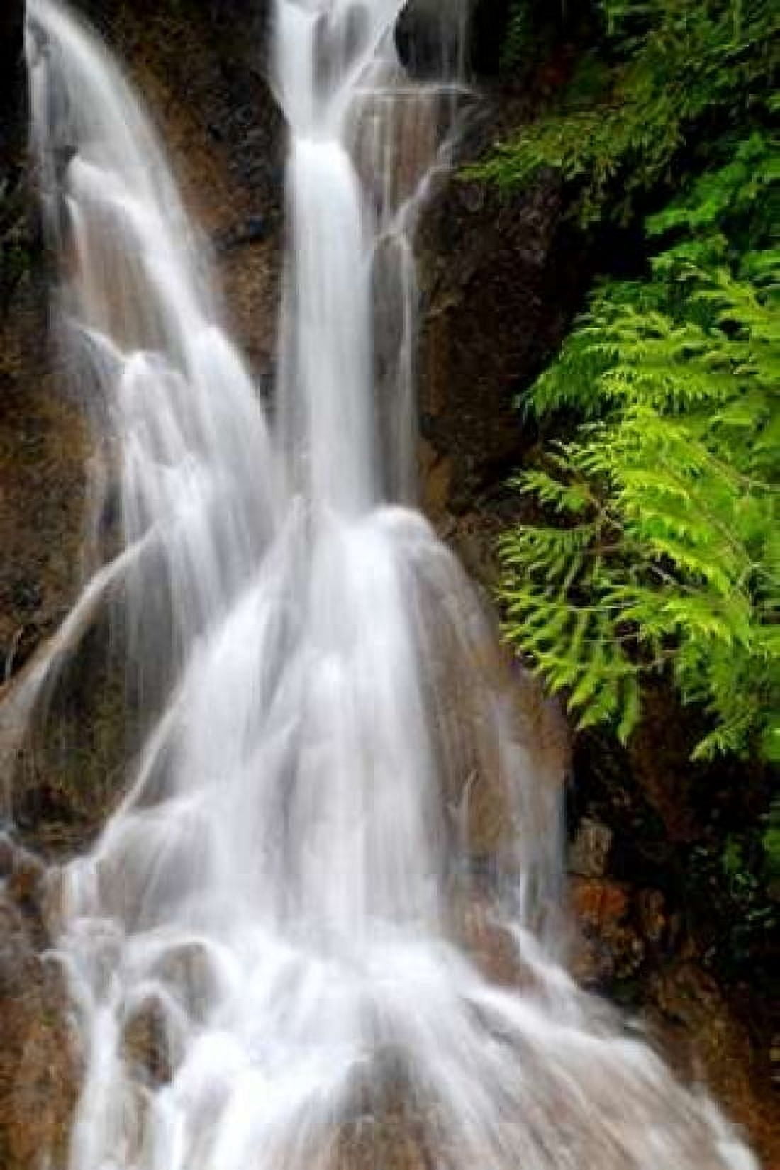 Falling Water I Canvas Art - Douglas Taylor (12 x 18)