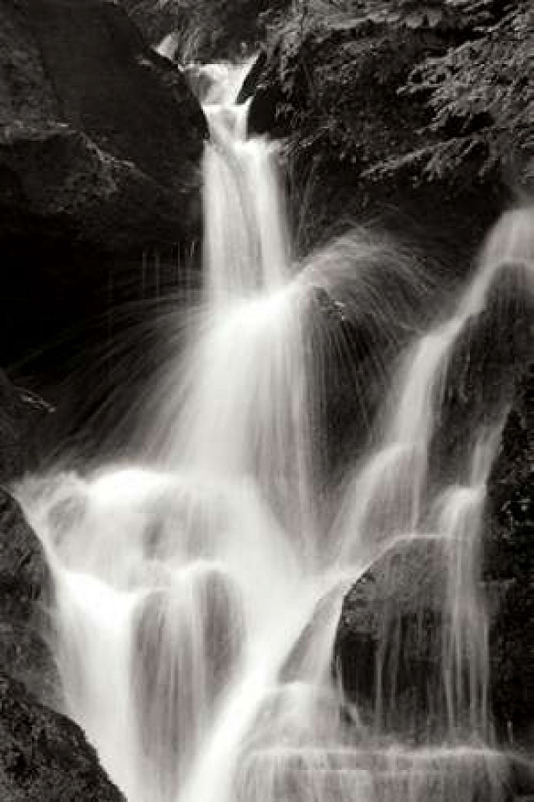 Falling Water II BW Canvas Art - Douglas Taylor (24 x 36)