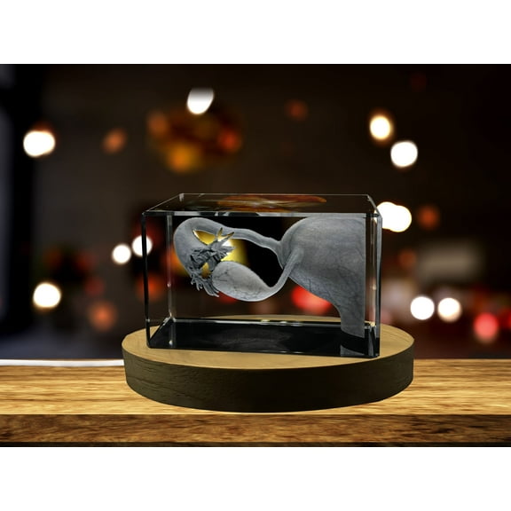 Fallopian Tubes| 3D Engraved Crystal Keepsake | Gift/Decor| Collectible | Souvenir | personalized 3D crystal photo gift |Customized 3d photo Engraved Crystal | Home decor
