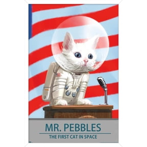 Fallout 4 - Mr. Pebbles - The First Cat In Space Wall Poster, 14.725" x 22.375" Framed