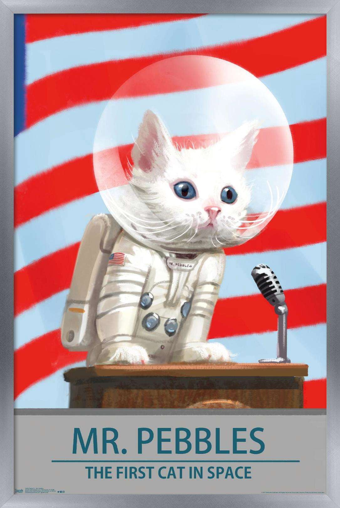 Fallout 4 - Mr. Pebbles - The First Cat In Space Wall Poster, 14.725" x 22.375" Framed
