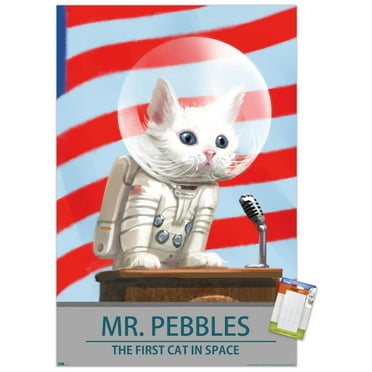 Fallout 4 - Mr. Pebbles - The First Cat In Space Wall Poster, 22.375" x 34"