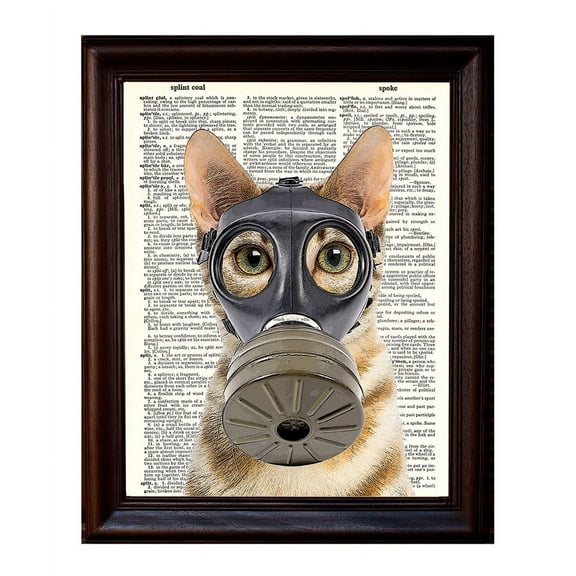 Fallout Kitty - Dictionary Art Print Printed On Authentic Vintage Dictionary Book Page - 8 x 10.5