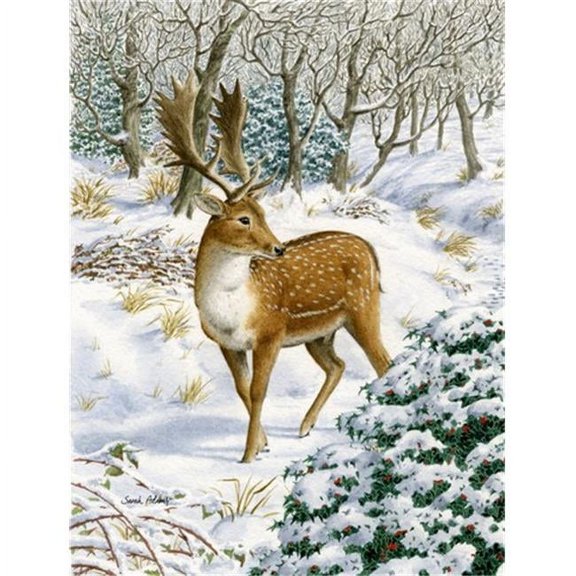 Fallow Buck Deer Flag Canvas House Size