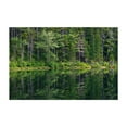 thumbnail image 1 of Falls Pond at Rocky Gorge - New Hampshire Photography Unframed Wall Art Print 24 x 36 inches, 1 of 7