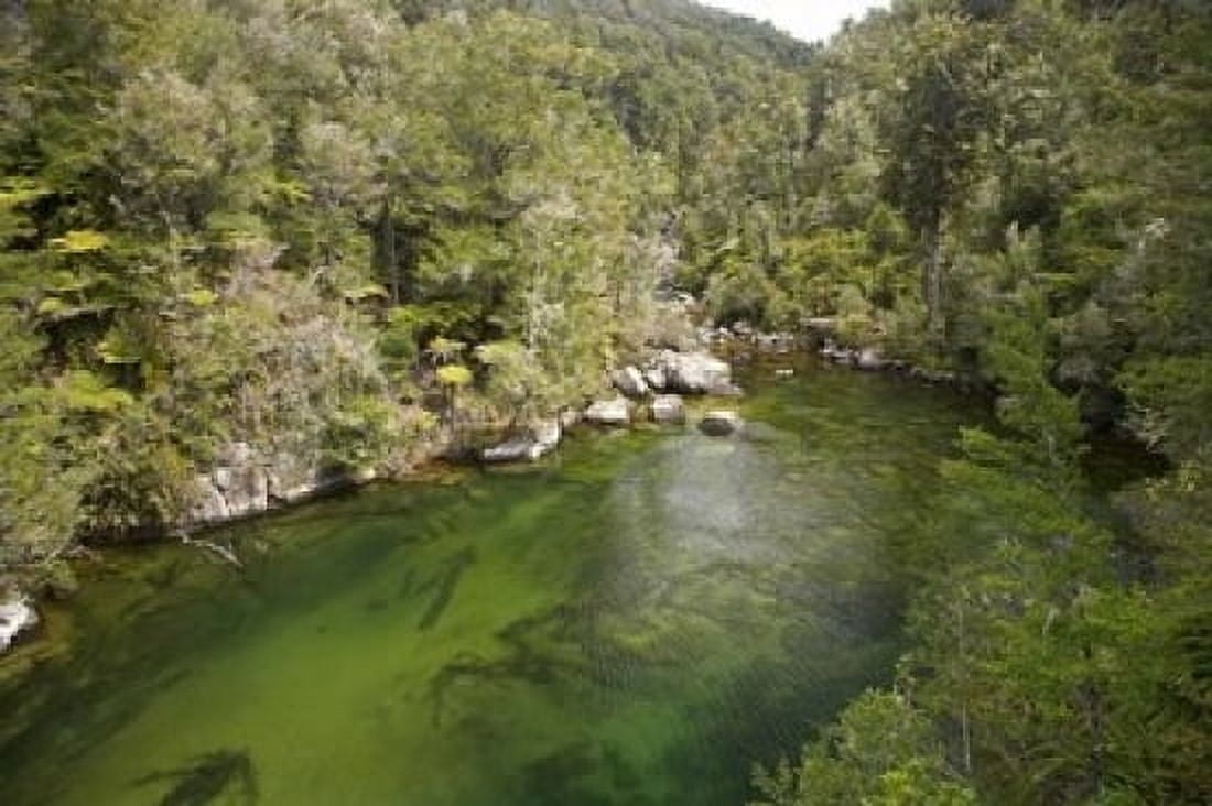 Falls River Abel Tasman South Island New Zealand Canvas Art - David Wall DanitaDelimont (17 x 11)