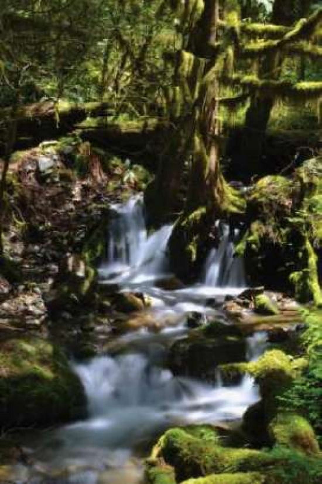 Falls in the Forest I Canvas Art - Brian Moore (12 x 18)
