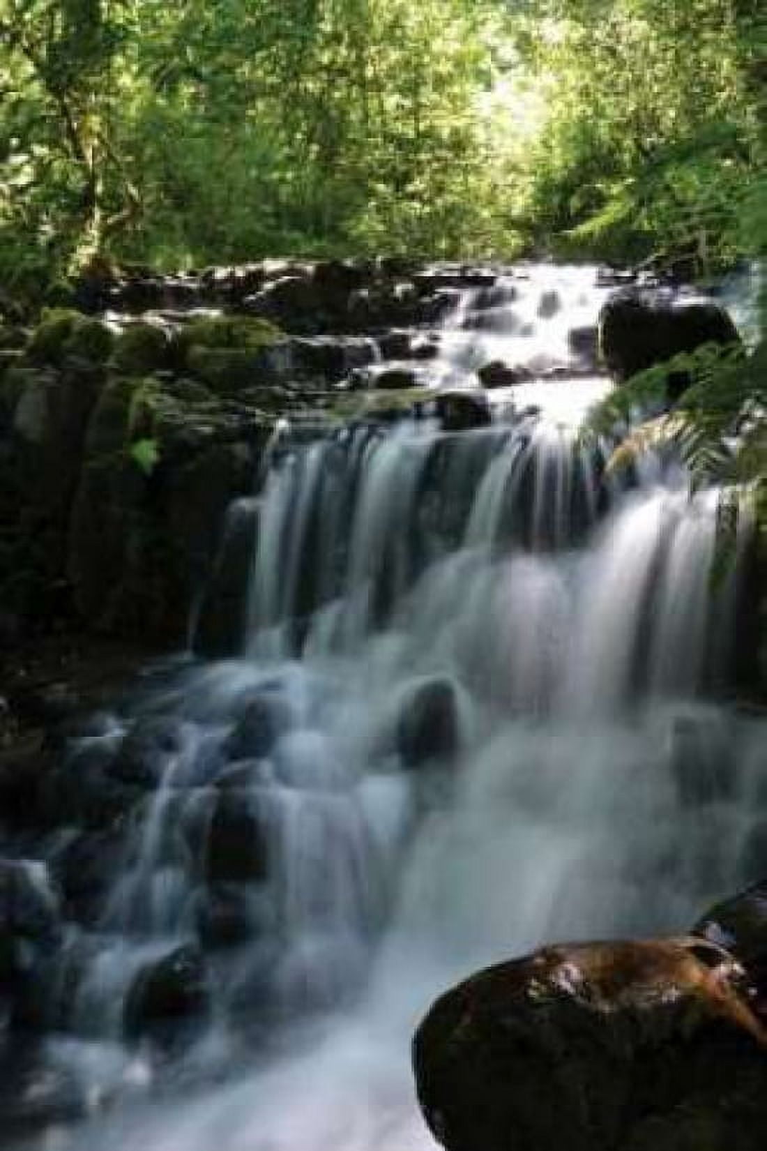 Falls in the Forest II Canvas Art - Brian Moore (24 x 36)