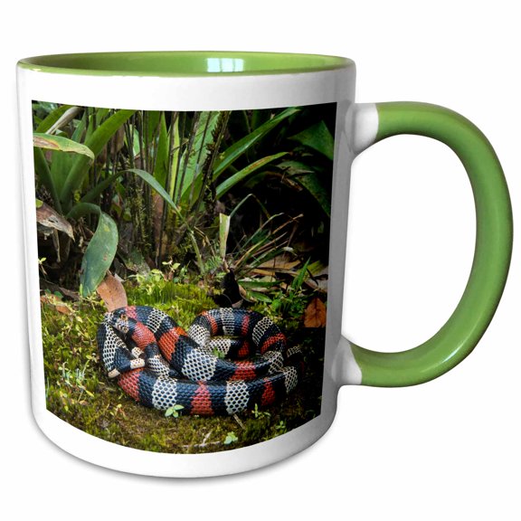 3drose, False Coral, Milk Snake, Andes, Ecuador. Captive, 11oz Two-tone Green Mug