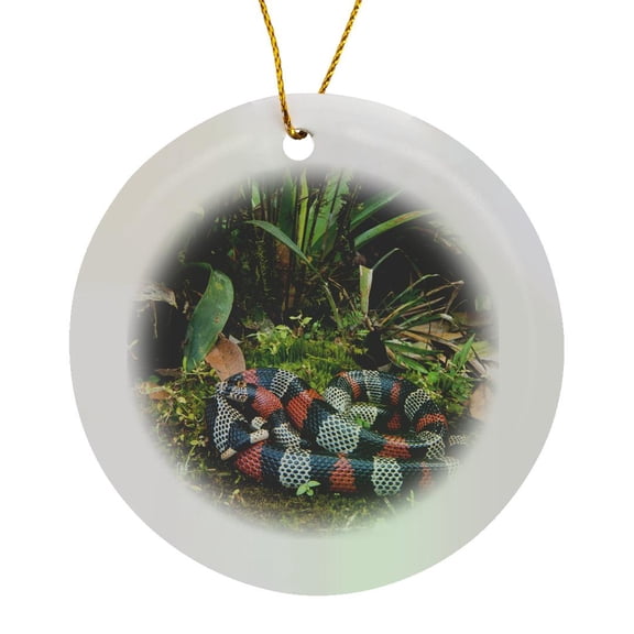 3drose, False Coral, Milk Snake, Andes, Ecuador. Captive, Circle Porcelain Ornament