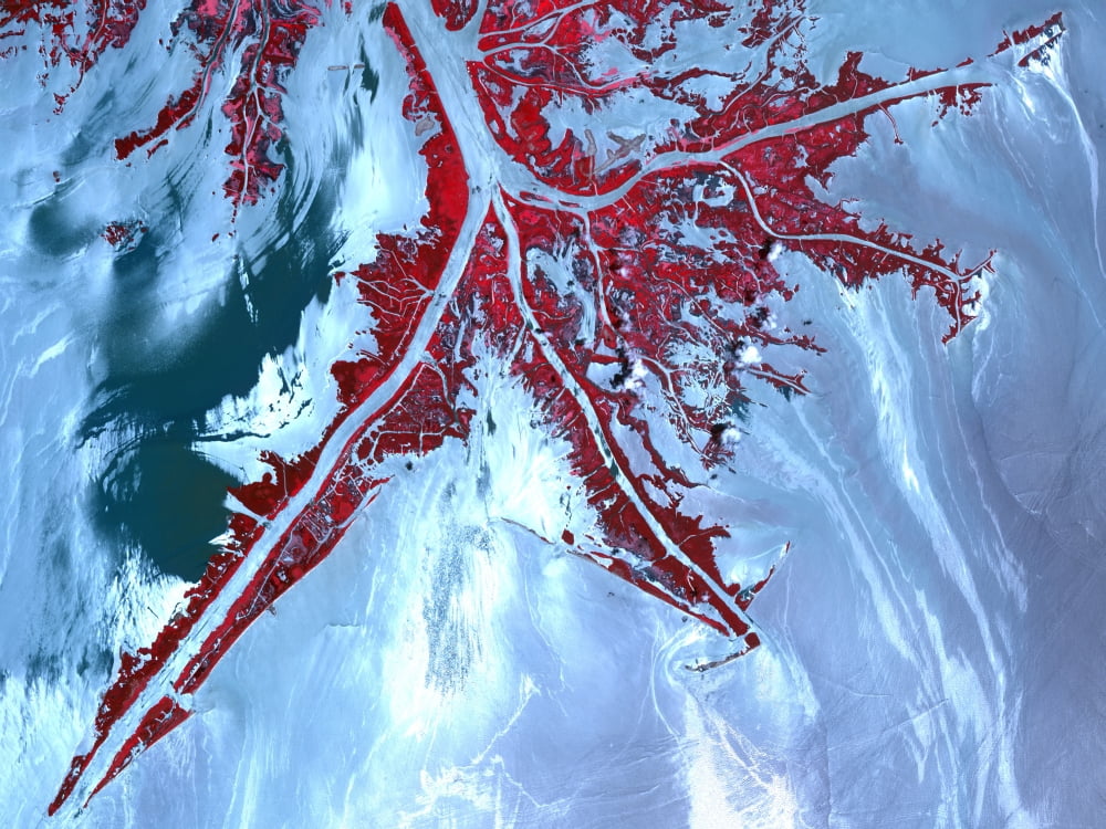 False color satellite view of the very tip of the Mississippi River Delta Canvas Art - Stocktrek Images (33 x 25)