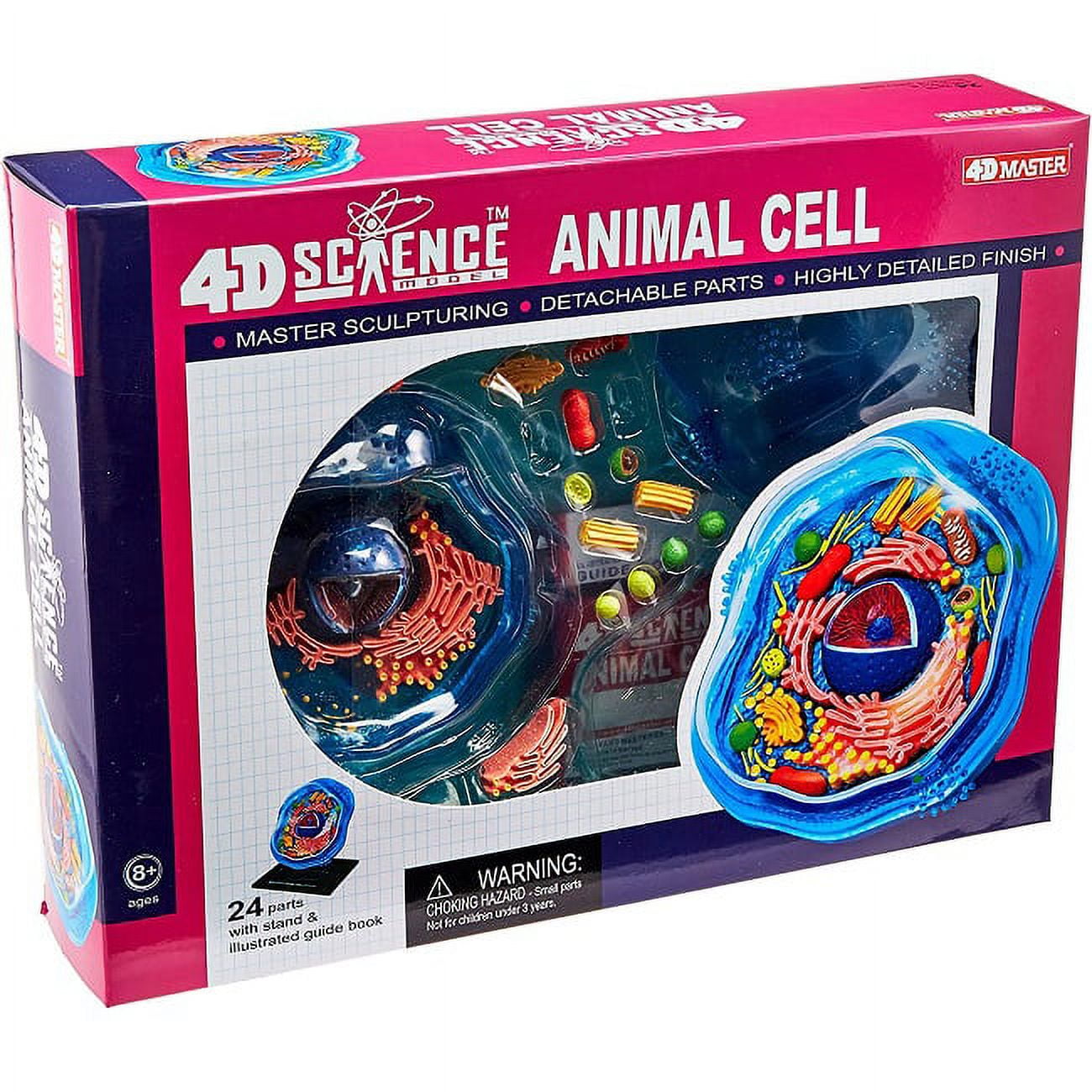 Fame Master 26700 4D-Science Animal Cell Anatomy Model