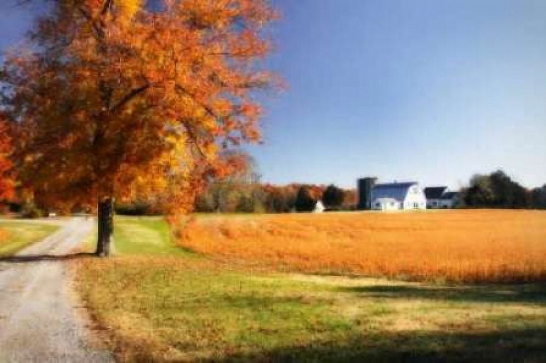 Family Farm I Canvas Art - Alan Hausenflock (20 x 28)