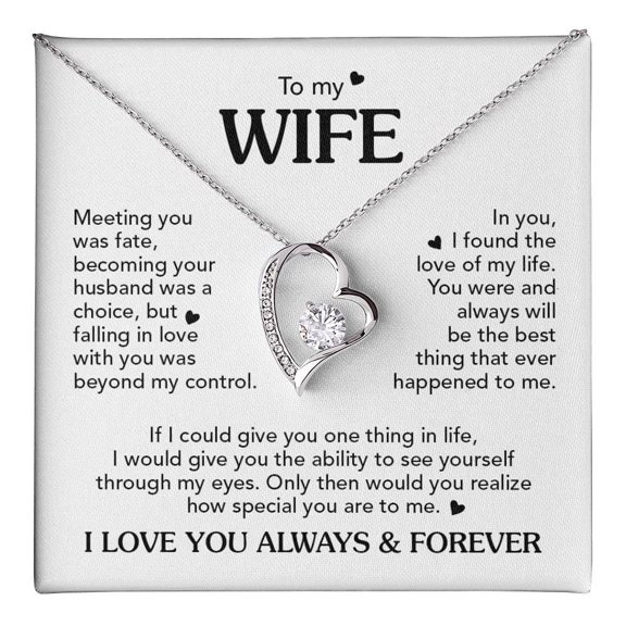 Family Gift Mall Romantic Necklace for Her, Birthday Jewelry Idea with Message Card and Gift Box, Stainless Steel with Cubic Zirconia (Standard Box, Choice Forever) C113