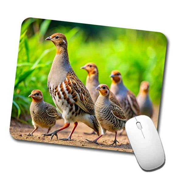 Family Of Partridge Birds Mouse Pad Low Profile Gaming Mat