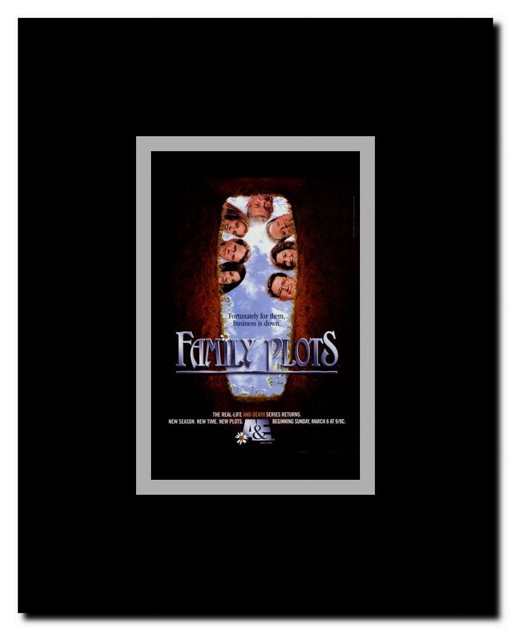 Family Plots Framed Movie Poster