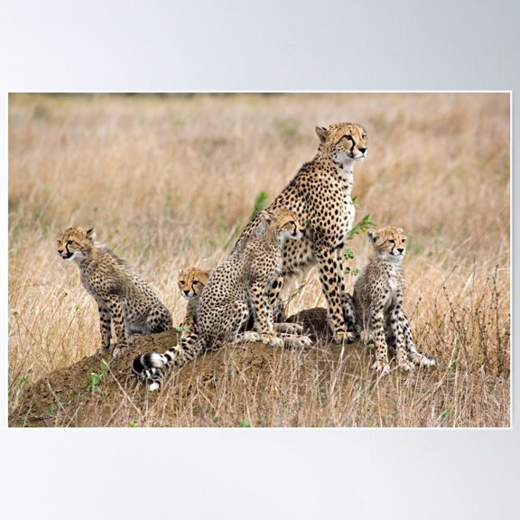 Family Portrait Poster Wall Art, Modern Wall Decor For Living Room Bedroom, 16x24 UNFRAMED