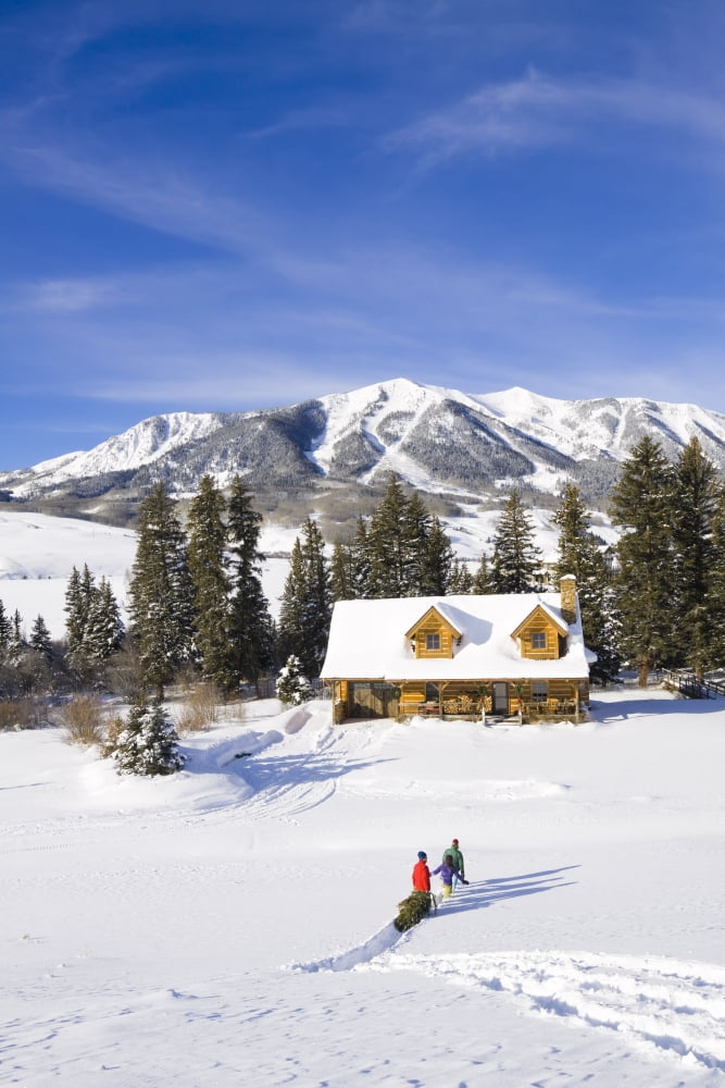 Family Pulls A Christmas Tree Home On A Sled Near Crested Butte Colorado Rocky Mountains Winter Canvas Art - Michael DeYoung Design Pics (22 x 34)